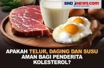 Apakah Telur, Daging...