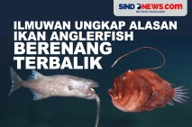 Ilmuwan Ungkap Alasan...