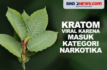Kratom, Tanaman Herbal...