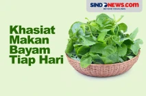 5 Khasiat Makan Bayam...