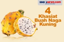 4 Khasiat Buah Naga...