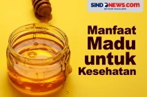 Manfaat Madu untuk Kesehatan...