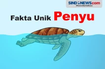 Fakta-Fakta Menarik...