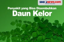 6 Penyakit Apa Saja...