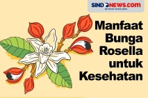 Jarang Diketahui, Berikut...