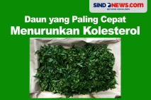 10 Daun yang Bisa Menurunkan...