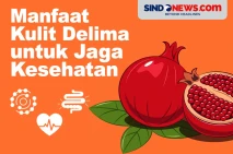Jangan Dibuang! Berikut...