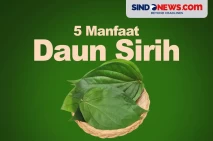 5 Manfaat Daun Sirih,...