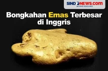 Bongkahan Emas Terbesar...
