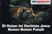 Di Hutan Angker Ini...