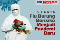 5 Fakta Flu Burung yang...