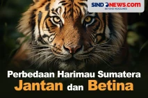 Jangan Salah, Ini Perbedaan...