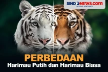 Selain Warna, Berikut...