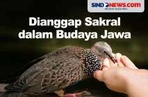 Hewan yang Dianggap...