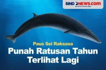 Dianggap Punah Ratusan...