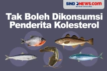 5 Jenis Ikan yang Tidak...