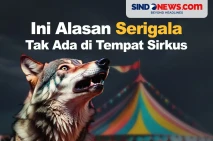 Fakta Mengejutkan Kenapa...