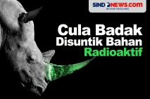Melawan Perburuan, Cula...