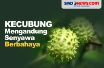 Bisa Sebabkan Kematian,...
