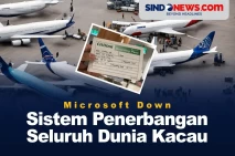 Microsoft Down, Sistem...