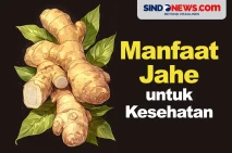 Bisa Meningkatkan Fungsi...