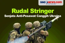 Rudal Stinger, Senjata...