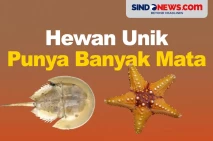Ada yang sampai 10 Ribu,...