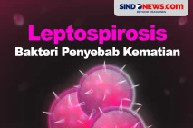 Mengenal Leptospirosis,...