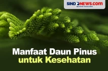 Jarang Diketahui, Berikut...