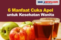 Wajib Dicoba, Berikut...