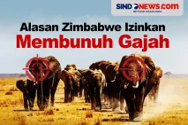 Alasan Pemerintah Zimbabwe...