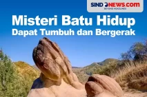 Misteri Batu Hidup yang...