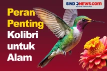 Bantu Ekosistem Lingkungan,...