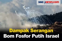 Dampak Mengerikan dari...