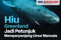 Genom Hiu Greenland...