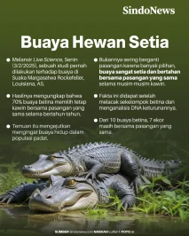 Fakta Mengejutkan, Ternyata...