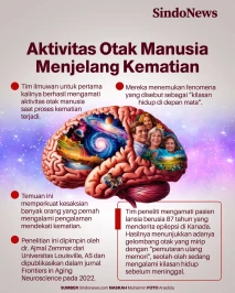 Ilmuwan Ungkap Aktivitas...