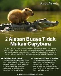2 Alasan Buaya Hidup...