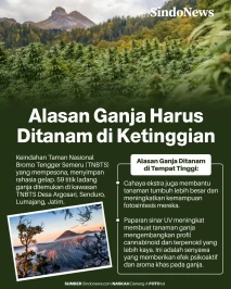 Ini Alasan Mengapa Tanaman...