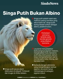 Ini Penjelasan Warna...