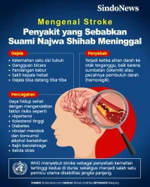 Mengenal Stroke, Penyebab...