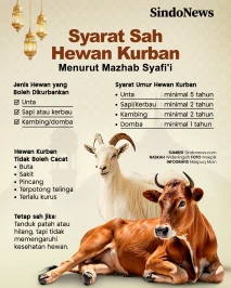 Syarat Sah Hewan Kurban,...