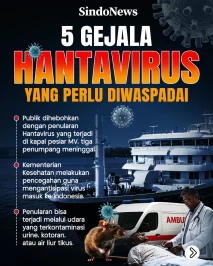 Virus Hanta Merebak!...