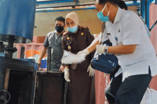 Kejari Makassar Musnahkan...