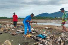 Terumbu Karang di Perairan...