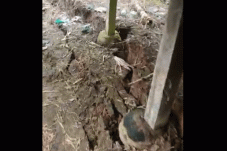 Tanah di Pegunungan...