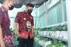 Bupati Gowa Harap Pasar...