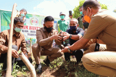 Dibantu Ratusan Bibit,...
