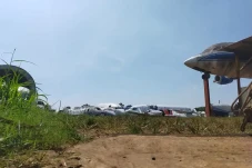 Ini Penyebab Bangkai...
