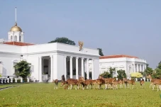 Asal Mula Rusa di Istana...